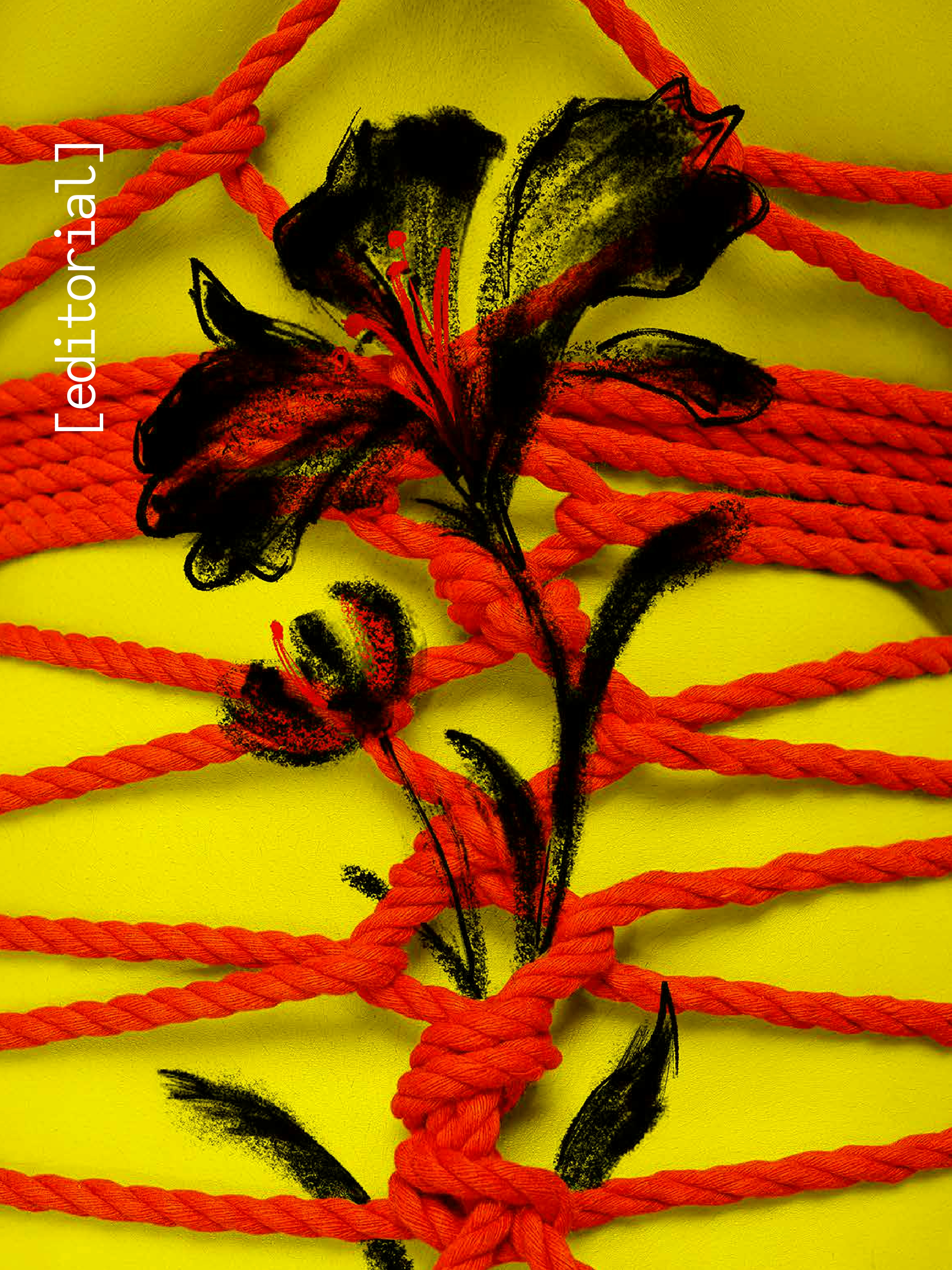  Capa com fundo amarelo intenso mostrando cordas vermelhas amarradas e entrelaçadas em várias direções, criando nós complexos ao centro. Sobre as cordas, há uma pintura de flores pretas com detalhes vermelhos, em estilo pincelado, que parecem crescer entre os nós. À esquerda, na vertical, está escrito “[editorial]” em letras brancas. A imagem transmite sensação de contraste, tensão e beleza orgânica envolta por amarras vibrantes.