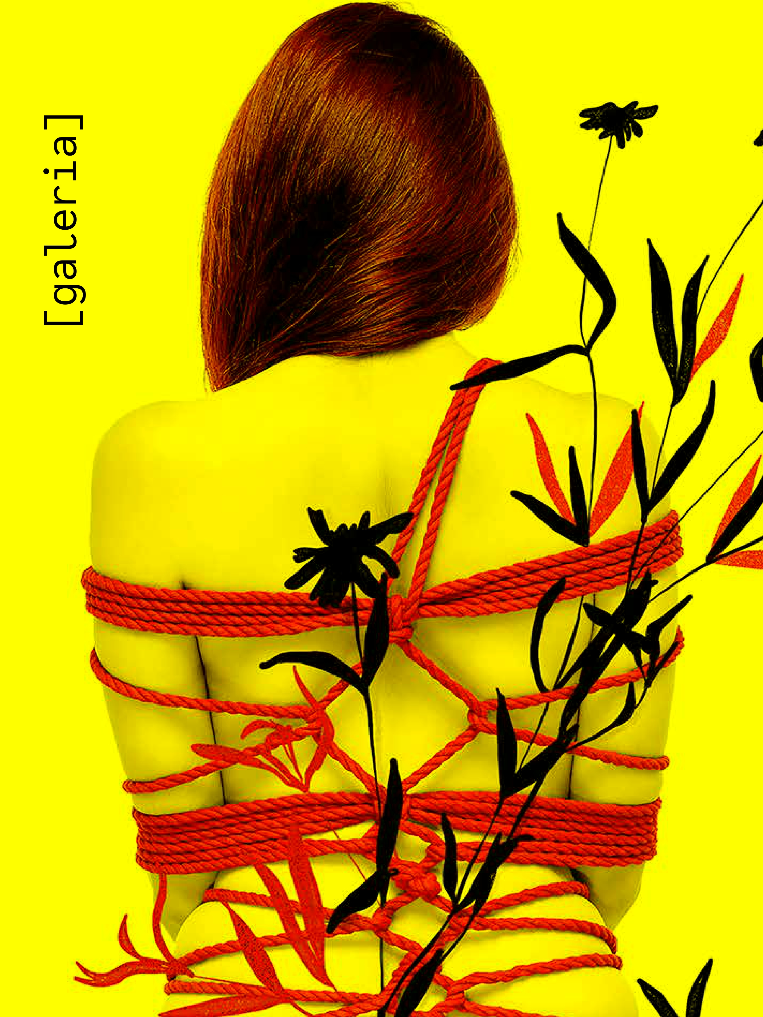 Uma pessoa com cabelos castanhos presos, de costas, com o corpo envolto em cordas vermelhas e adornado com flores escuras e folhas vermelhas, sobre um fundo amarelo. No canto superior esquerdo, "[galeria]" em texto vertical branco.