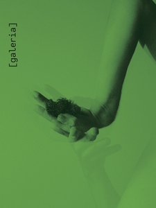 Página com uma estética monocromática em tons de verde. A imagem central destaca um braço e uma mão estendidos, entrando no quadro a partir do canto superior direito. A mão, com a palma voltada para cima, segura um pequeno objeto escuro e texturizado, semelhante a uma porção de musgo ou emaranhado de fios. A fotografia possui um efeito de dupla exposição ou "fantasma", exibindo uma cópia translúcida e levemente deslocada do braço e da mão logo abaixo da imagem principal, sugerindo movimento. No lado esquerdo, alinhado na vertical, lê-se o texto: "[galeria]".